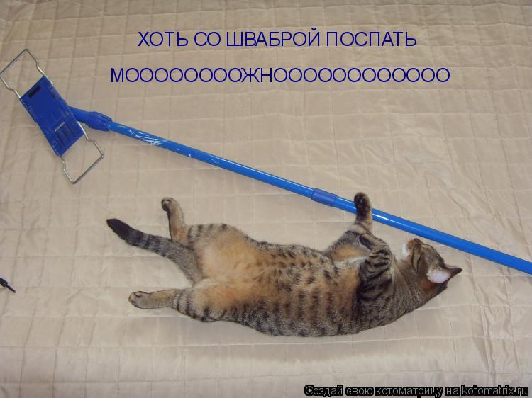 ХОТЬ СО ШВАБРОЙ ПОСПАТЬ МООООООООЖНОООООООООООО... Котоматрица: ХОТЬ СО ШВАБРОЙ ПОСПАТЬ МООООООООЖНОООООООООООО