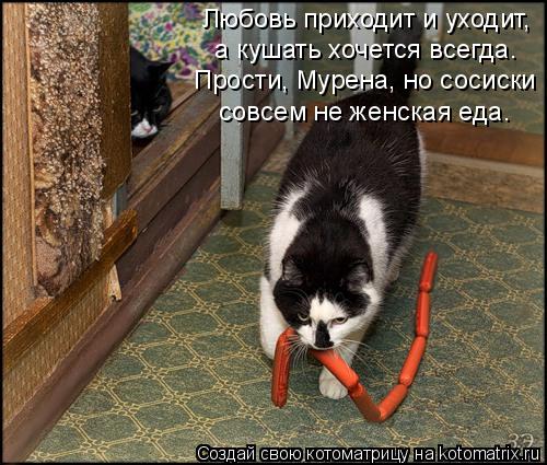 Любовь приходит и уходит, а кушать хочется всегда. Прости, Мурена, но сосиски совсем не женская еда.... Котоматрица: Любовь приходит и уходит, а кушать хочется всегда. Прости, Мурена, но сосиски совсем не женская еда.