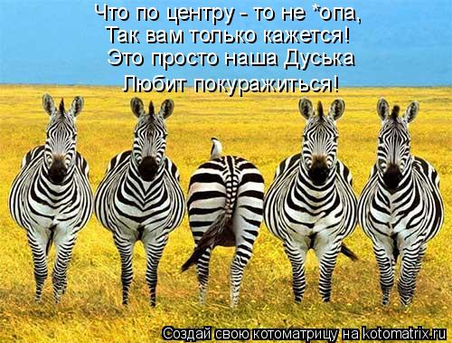 Что по центру - то не *опа, Так вам только кажется! Это просто наша Дуська Любит покуражиться!... Котоматрица: Что по центру - то не *опа, Так вам только кажется! Это просто наша Дуська Любит покуражиться!