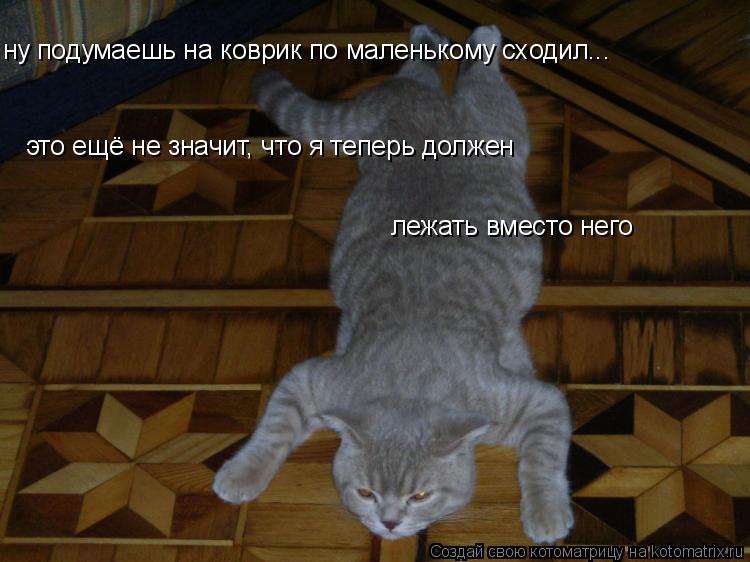 ну подумаешь на коврик по маленькому сходил... это ещё не значит, что я теперь должен лежать вместо н... Котоматрица: ну подумаешь на коврик по маленькому сходил... это ещё не значит, что я теперь должен лежать вместо него