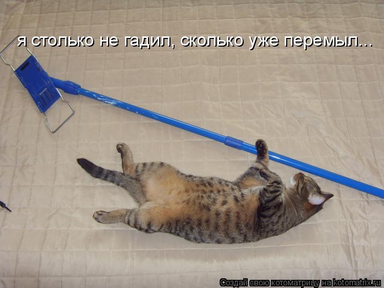 я столько не гадил, сколько уже перемыл...... Котоматрица: я столько не гадил, сколько уже перемыл...