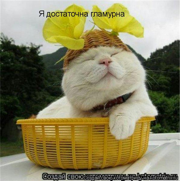 Я достаточна гламурна... Котоматрица: Я достаточна гламурна