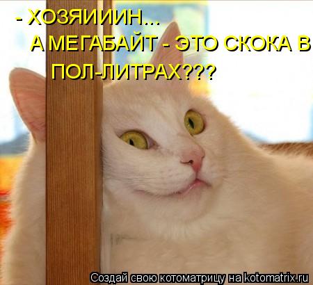 - ХОЗЯИИИН... А МЕГАБАЙТ - ЭТО СКОКА В ПОЛ-ЛИТРАХ???... Котоматрица: - ХОЗЯИИИН... А МЕГАБАЙТ - ЭТО СКОКА В ПОЛ-ЛИТРАХ???
