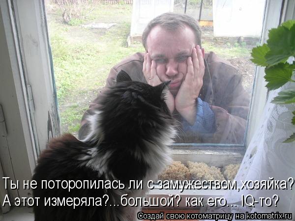 Ты не поторопилась ли с замужеством,хозяйка? А этот измеряла?...большой? как его... IQ-то?... Котоматрица: Ты не поторопилась ли с замужеством,хозяйка? А этот измеряла?...большой? как его... IQ-то?
