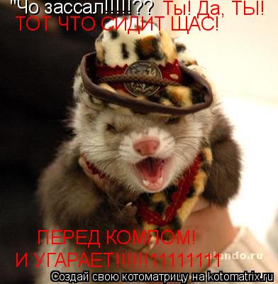 Котоматрица: "Чо зассал!!!!!?? Ты! Да, ТЫ! ТОТ ЧТО СИДИТ ЩАС! ПЕРЕД КОМПОМ! И УГАРАЕТ!!!!!!11111111