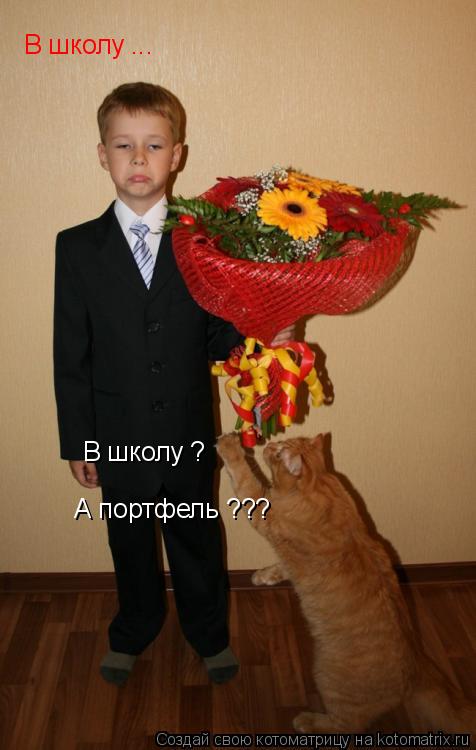 В школу ? В школу ... А портфель ???... Котоматрица: В школу ? В школу ... А портфель ???