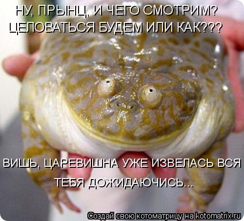 НУ, ПРЫНЦ, И ЧЕГО СМОТРИМ? ЦЕЛОВАТЬСЯ БУДЕМ ИЛИ КАК??? ВИШЬ, ЦАРЕВИШНА УЖЕ ИЗВЕЛАСЬ ВСЯ ТЕБЯ ДОЖИДАЮ... Котоматрица: НУ, ПРЫНЦ, И ЧЕГО СМОТРИМ? ЦЕЛОВАТЬСЯ БУДЕМ ИЛИ КАК??? ВИШЬ, ЦАРЕВИШНА УЖЕ ИЗВЕЛАСЬ ВСЯ ТЕБЯ ДОЖИДАЮЧИСЬ...