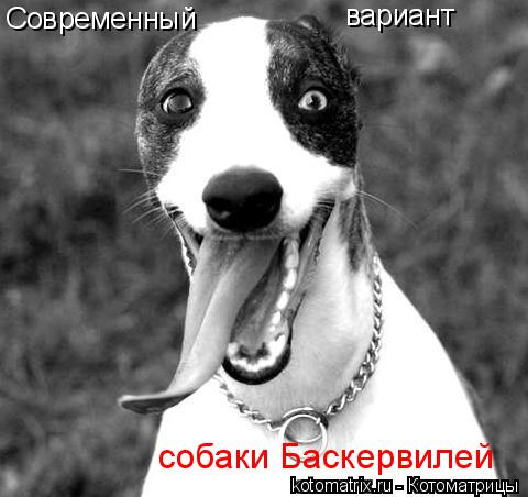 Современный вариант собаки Баскервилей... Котоматрица: Современный вариант собаки Баскервилей