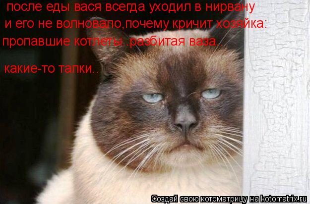 после еды вася всегда уходил в нирвану и его не волновало,почему кричит хозяйка: пропавшие котлеты..р... Котоматрица: после еды вася всегда уходил в нирвану и его не волновало,почему кричит хозяйка: пропавшие котлеты..разбитая ваза.. какие-то тапки..