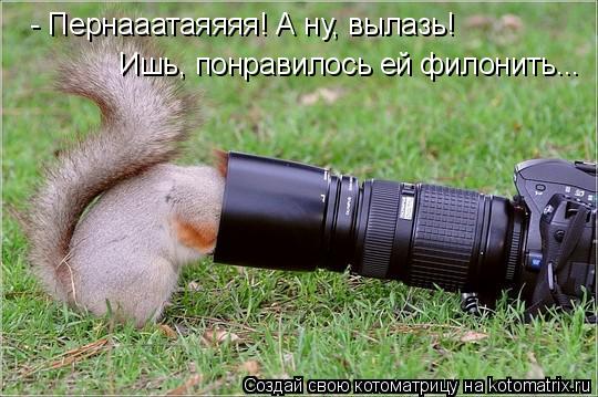 - Пернааатаяяяя! А ну, вылазь! Ишь, понравилось ей филонить...... Котоматрица: - Пернааатаяяяя! А ну, вылазь! Ишь, понравилось ей филонить...