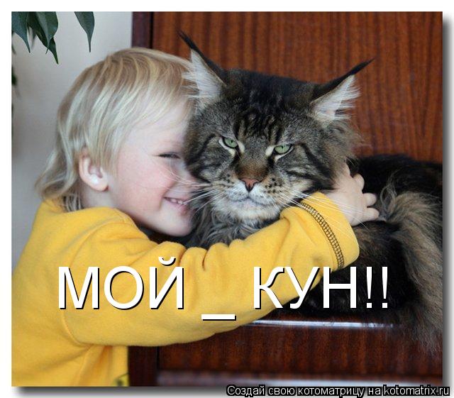 МОЙ _ КУН!!... Котоматрица: МОЙ _ КУН!!