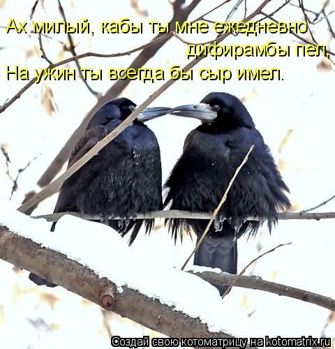 Ах милый, кабы ты мне ежедневно дифирамбы пел, На ужин ты всегда бы сыр имел.... Котоматрица: Ах милый, кабы ты мне ежедневно дифирамбы пел, На ужин ты всегда бы сыр имел.