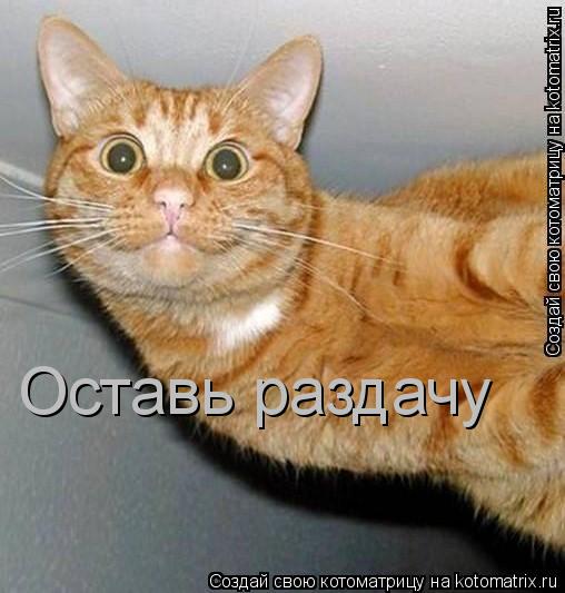 Оставь раздачу... Котоматрица: Оставь раздачу