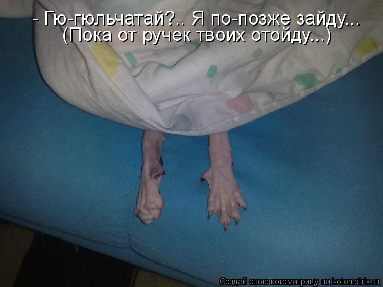 - Гю-гюльчатай?.. Я по-позже зайду... (Пока от ручек твоих отойду...)... Котоматрица: - Гю-гюльчатай?.. Я по-позже зайду... (Пока от ручек твоих отойду...)
