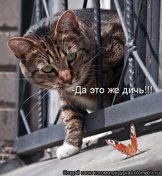-Да это же дичь!!!... Котоматрица: -Да это же дичь!!!