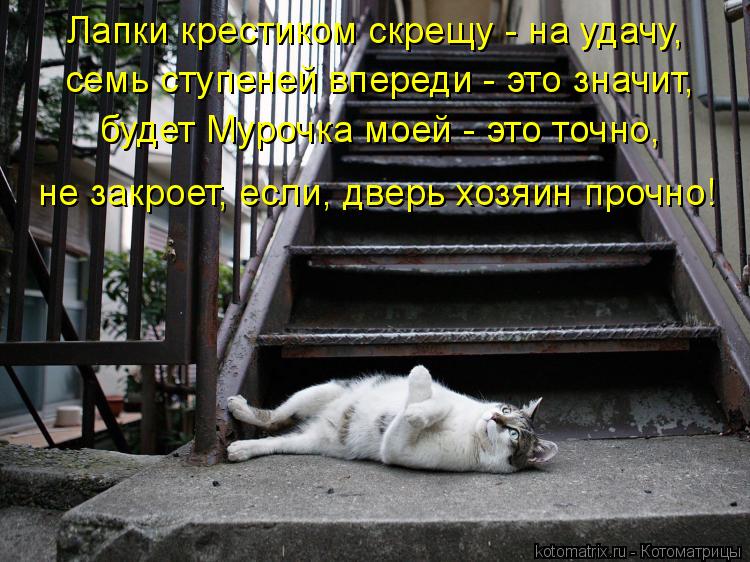 Лапки крестиком скрещу - на удачу, семь ступеней впереди - это значит, будет Мурочка моей - это точно... Котоматрица: Лапки крестиком скрещу - на удачу, семь ступеней впереди - это значит, будет Мурочка моей - это точно, не закроет, если, дверь хозяин прочно!