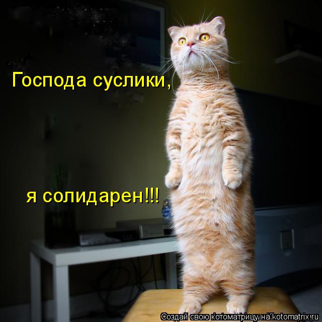 Котоматрица: Господа суслики, я солидарен!!!