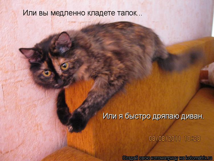 Котоматрица: Или вы медленно кладете тапок... Или я быстро дряпаю диван.