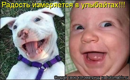 Радость измеряется в улыбайтах!!!... Котоматрица: Радость измеряется в улыбайтах!!!