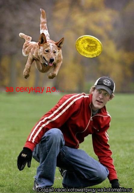 за секунду до....... Котоматрица: за секунду до....