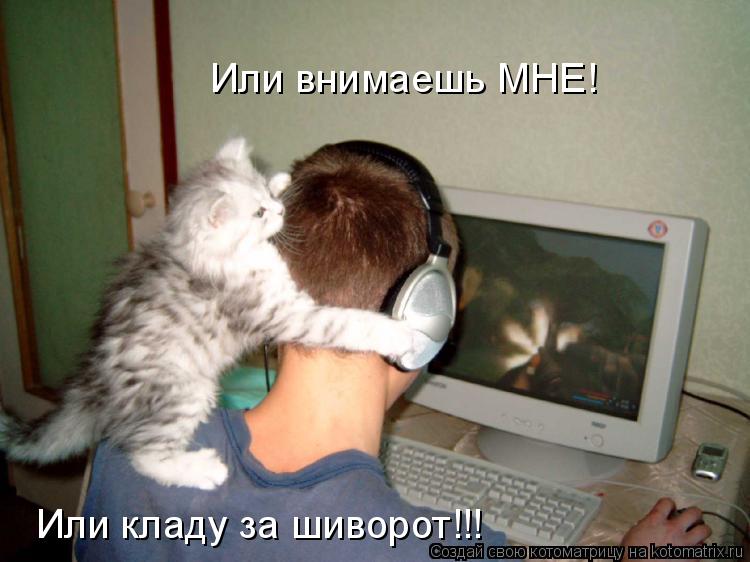 Или внимаешь МНЕ! Или кладу за шиворот!!!... Котоматрица: Или внимаешь МНЕ! Или кладу за шиворот!!!