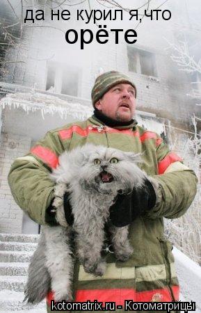 да не курил я,что орёте... Котоматрица: да не курил я,что орёте