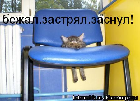 бежал.застрял.заснул!... Котоматрица: бежал.застрял.заснул!