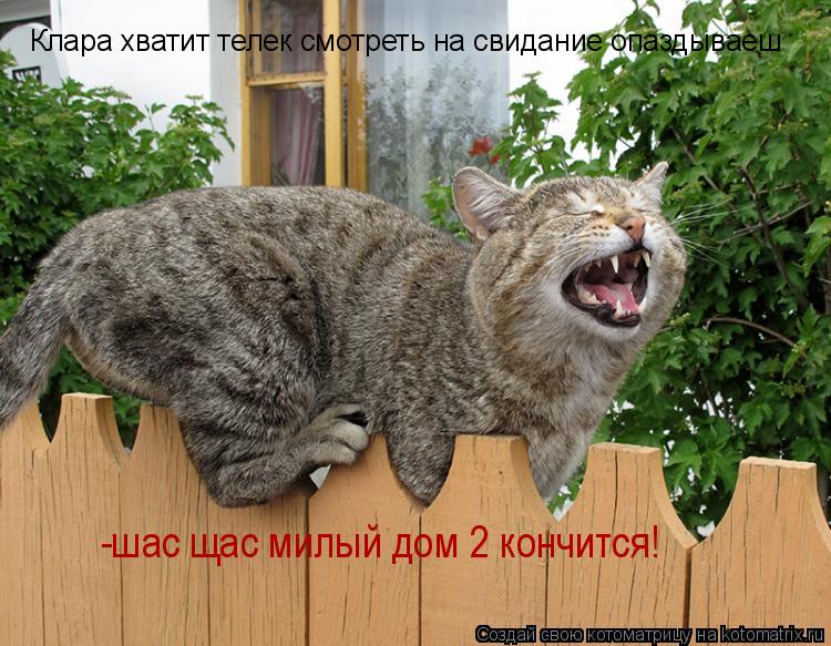 Клара хватит телек смотреть на свидание опаздываеш -шас щас милый дом 2 кончится!... Котоматрица: Клара хватит телек смотреть на свидание опаздываеш -шас щас милый дом 2 кончится!