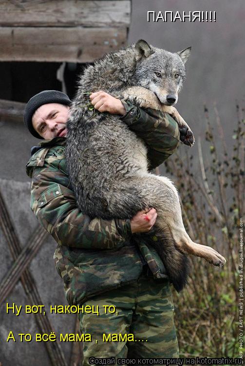 ПАПАНЯ!!!! Ну вот, наконец то, А то всё мама , мама....... Котоматрица: ПАПАНЯ!!!! Ну вот, наконец то, А то всё мама , мама....