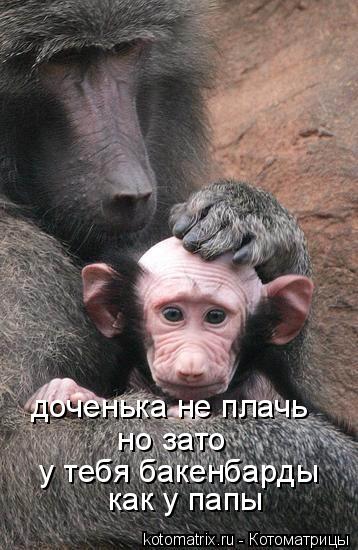 доченька не плачь у тебя бакенбарды но зато как у папы... Котоматрица: доченька не плачь у тебя бакенбарды но зато как у папы
