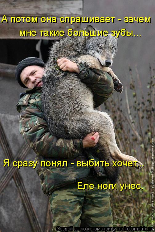А потом она спрашивает - зачем мне такие большие зубы... Я сразу понял - выбить хочет... Еле ноги уне... Котоматрица: А потом она спрашивает - зачем мне такие большие зубы... Я сразу понял - выбить хочет... Еле ноги унес.
