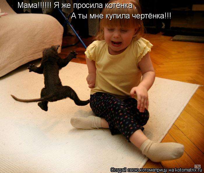 Мама!!!!!! Я же просила котёнка , А ты мне купила чертёнка!!!... Котоматрица: Мама!!!!!! Я же просила котёнка , А ты мне купила чертёнка!!!