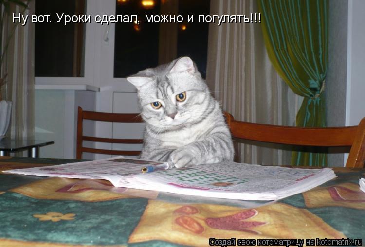 Ну вот. Уроки сделал, можно и погулять!!!... Котоматрица: Ну вот. Уроки сделал, можно и погулять!!!