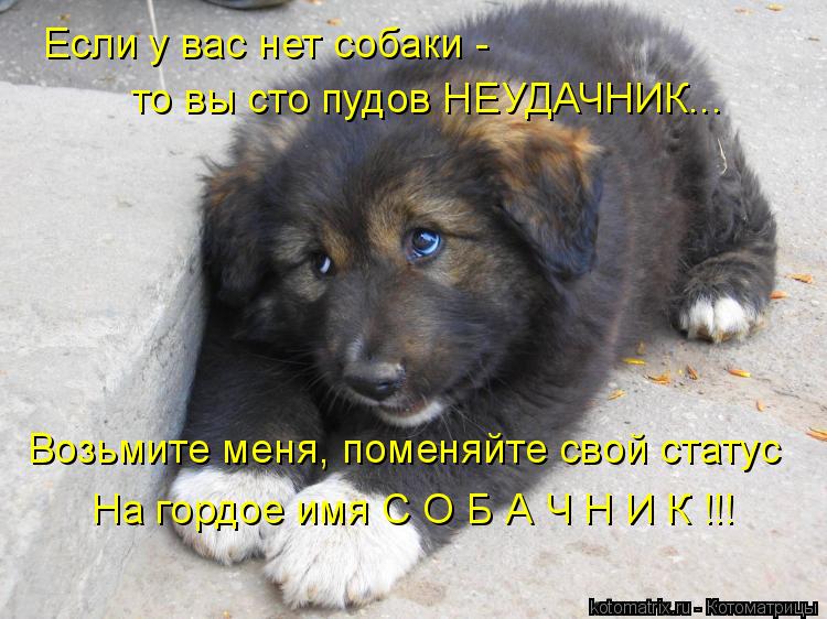Возьмите меня, поменяйте свой статус На гордое имя С О Б А Ч Н И К !!! Если у вас нет собаки - то в... Котоматрица: Возьмите меня, поменяйте свой статус На гордое имя С О Б А Ч Н И К !!! Если у вас нет собаки - то вы сто пудов НЕУДАЧНИК...