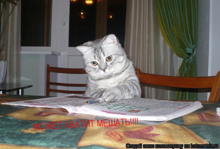 МОЖЕТ ХВАТИТ МЕШАТЬ!!!!... Котоматрица: МОЖЕТ ХВАТИТ МЕШАТЬ!!!!