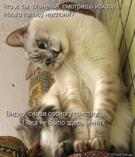 Что ж ты, Манечка, смотришь искоса, Низко голову наклоня? Видно, снова сосиску свистнула, Пока не ... Котоматрица: Что ж ты, Манечка, смотришь искоса, Низко голову наклоня? Видно, снова сосиску свистнула, Пока не было здесь меня?