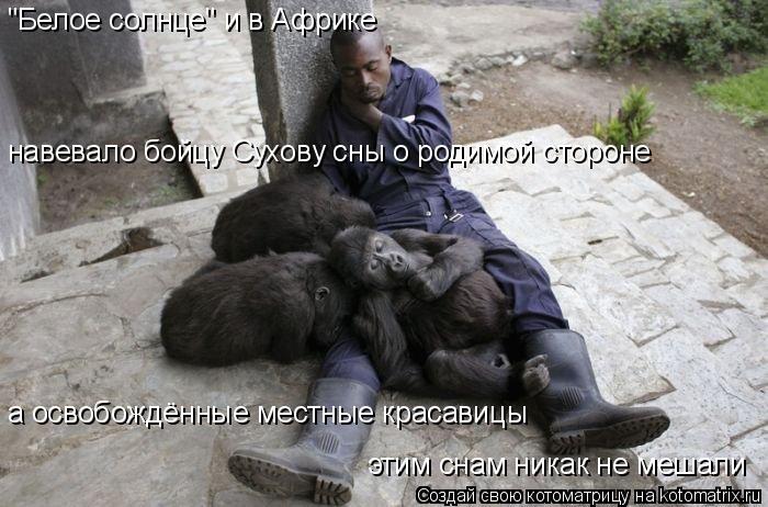 "Белое солнце" и в Африке навевало бойцу Сухову сны о родимой стороне а освобождённые местные красави... Котоматрица: "Белое солнце" и в Африке навевало бойцу Сухову сны о родимой стороне а освобождённые местные красавицы этим снам никак не мешали