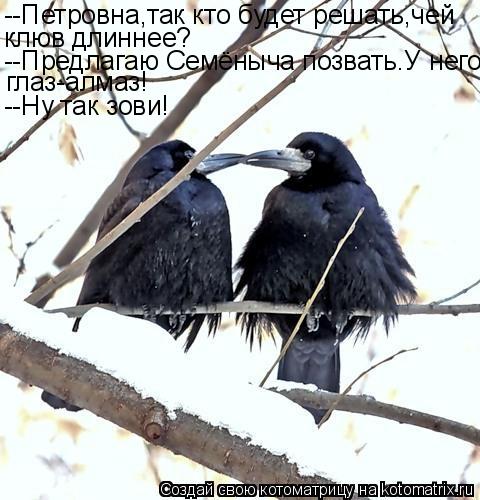 --Петровна,так кто будет решать,чей клюв длиннее? --Предлагаю Семёныча позвать.У него глаз-алмаз! --Н... Котоматрица: --Петровна,так кто будет решать,чей клюв длиннее? --Предлагаю Семёныча позвать.У него глаз-алмаз! --Ну так зови!
