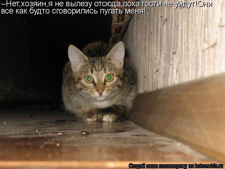 --Нет,хозяин,я не вылезу отсюда,пока гости не уйдут!Они все как будто сговорились пугать меня!... Котоматрица: --Нет,хозяин,я не вылезу отсюда,пока гости не уйдут!Они все как будто сговорились пугать меня!