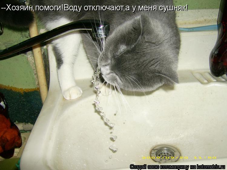 --Хозяин,помоги!Воду отключают,а у меня сушняк!... Котоматрица: --Хозяин,помоги!Воду отключают,а у меня сушняк!