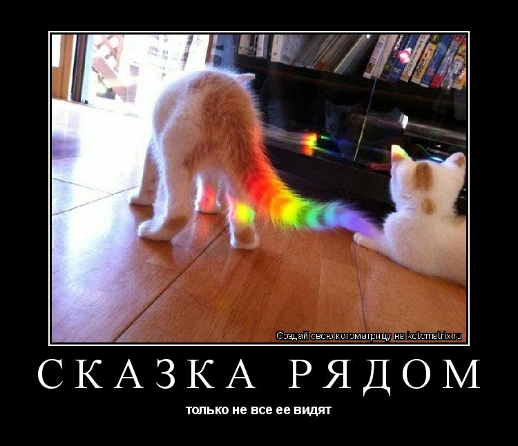 сказка рядом только не все ее видят... Котоматрица: сказка рядом только не все ее видят