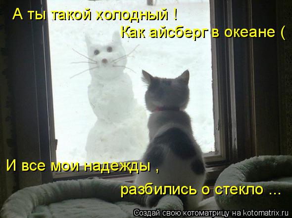 Котоматрица: А ты такой холодный !  Как айсберг в океане ( И все мои надежды , разбились о стекло ...