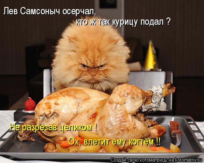 Котоматрица: Лев Самсоныч осерчал,  кто ж так курицу подал ? Не разрезав целиком ! Ох, влетит ему когтём !!