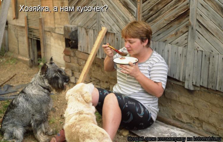 Котоматрица: Хозяйка, а нам кусочек?