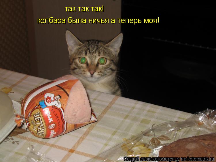 Котоматрица: так так так! колбаса была ничья а теперь моя!