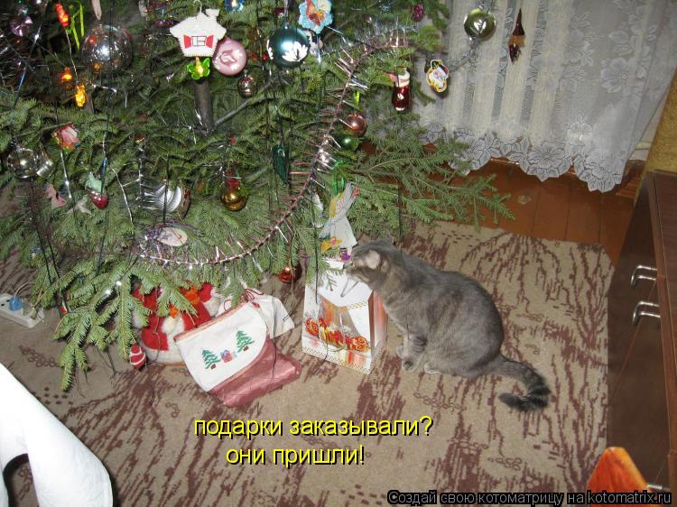 Котоматрица: подарки заказывали? они пришли!