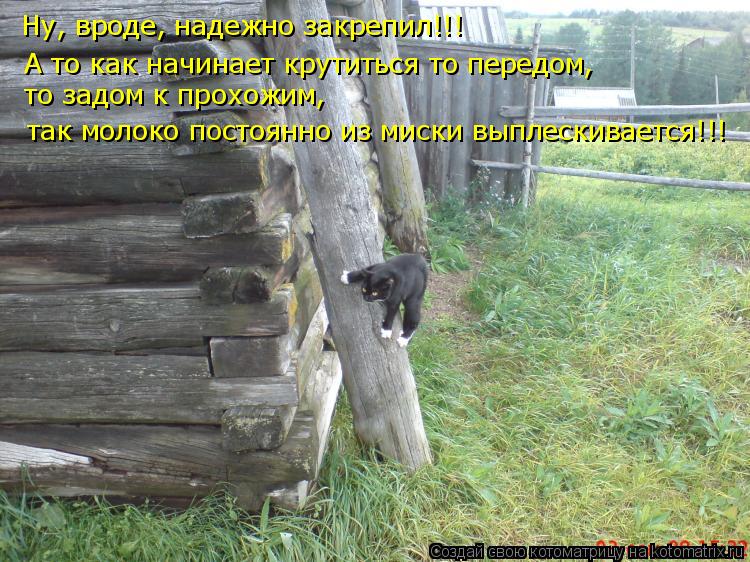 Ну, вроде, надежно закрепил!!! А то как начинает крутиться то передом, то задом к прохожим, так моло... Котоматрица: Ну, вроде, надежно закрепил!!! А то как начинает крутиться то передом, то задом к прохожим, так молоко постоянно из миски выплескивается!!!