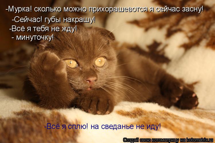 -Мурка! сколько можно прихорашевотся я сейчас засну! -Сейчас! губы накрашу! -Всё я тебя не жду! - мин... Котоматрица: -Мурка! сколько можно прихорашевотся я сейчас засну! -Сейчас! губы накрашу! -Всё я тебя не жду! - минуточку! -Всё я сплю! на сведанье не иду!