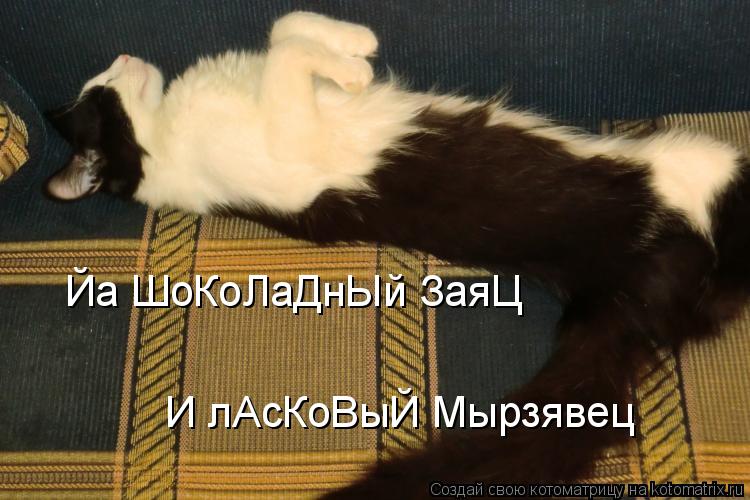Йа ШоКоЛаДнЫй ЗаяЦ И лАсКоВыЙ Мырзявец... Котоматрица: Йа ШоКоЛаДнЫй ЗаяЦ И лАсКоВыЙ Мырзявец