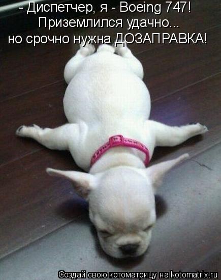 - Диспетчер, я - Boeing 747! Приземлился удачно... но срочно нужна ДОЗАПРАВКА!... Котоматрица: - Диспетчер, я - Boeing 747! Приземлился удачно... но срочно нужна ДОЗАПРАВКА!